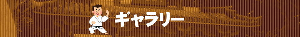 ギャラリー